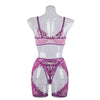 Sexy Transparent Three-Piece Underwear Set with Front Detachable Bra - Wholesale Lingerie Back Show